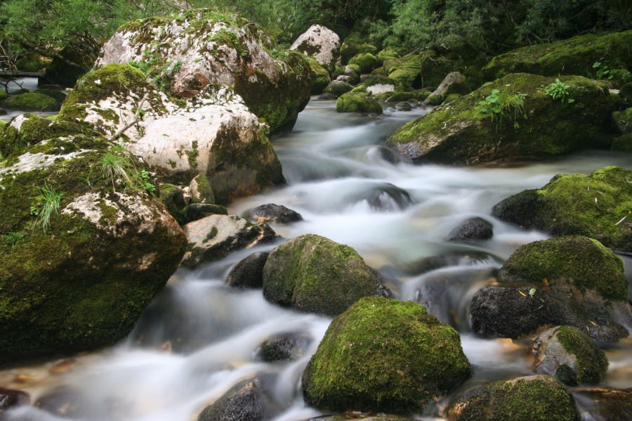 River flowing over rocks