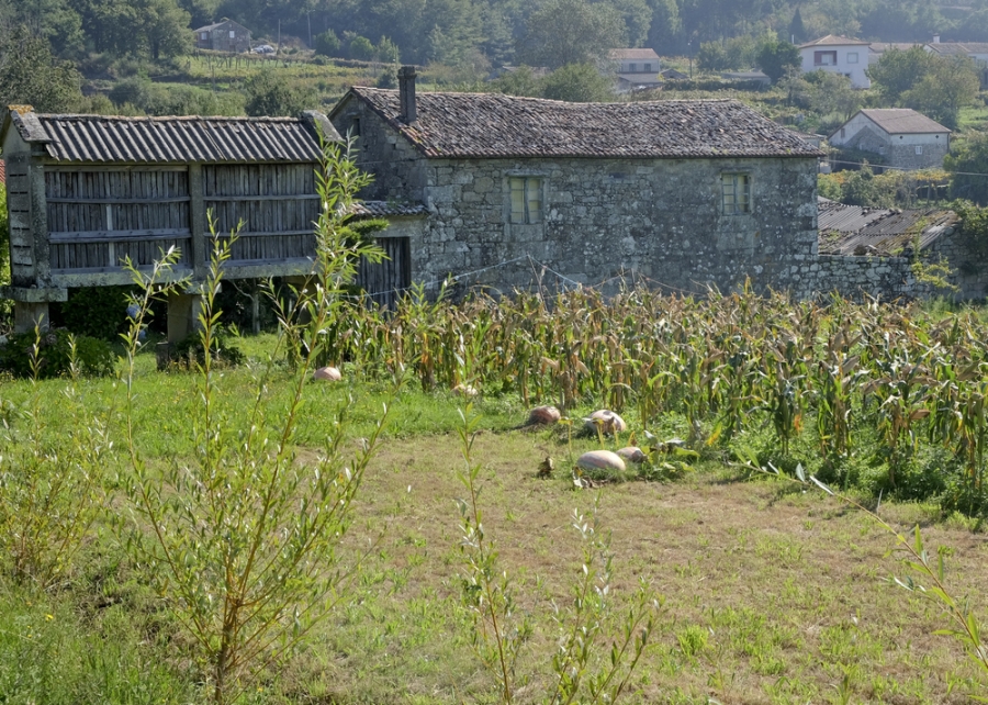 Stone farmhouse in Galicia along the Camino 